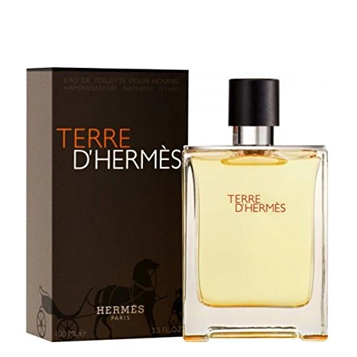 Terre D'Hermès Eau De Toilette Men 100 Ml Original